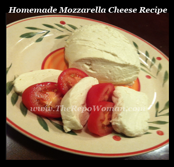 Homemade Mozzarella Cheese Recipe!  Super Easy and Yummy too!