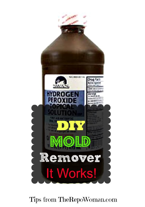 DIY Mold Remover that Works!
