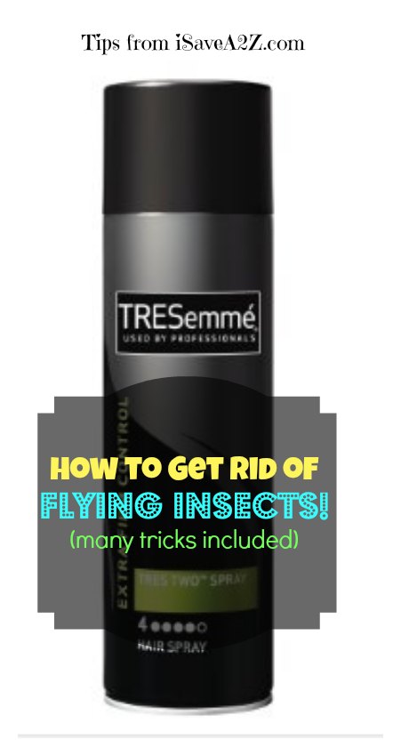 How to Get Ride of Flying Insects without Bug Spray